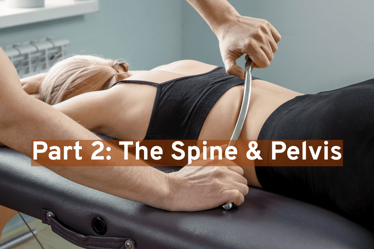 Instrument Assisted Soft Tissue Mobilization Part 2: The Spine and Pelvis