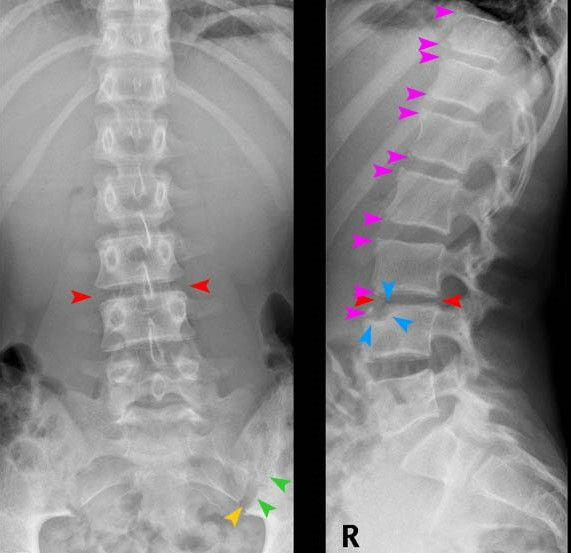 Clinical Radiology Rounds II